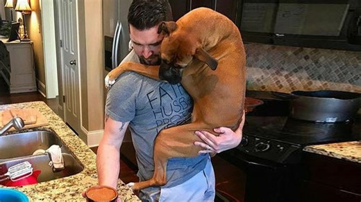 Dogs hug humans in the most heartwarming moments