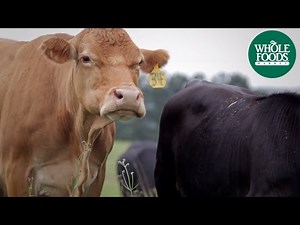 Proffitt Farms Grass-Fed Beef | Meet the Ranchers | Whole Foods Market