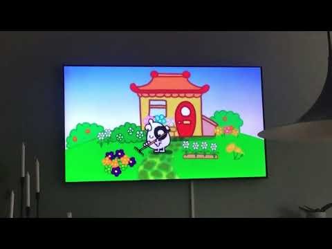 Me Watching Fluffy Gardens In The Morning