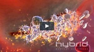 The Dynamics of Thrombin and Platelet Activation in Thrombosis and Inflammation