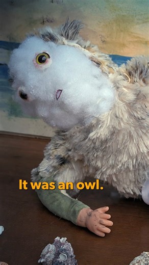 Thanks I hate it. A new season of Taskmaster is now streaming on BINGE. #Taskmaster #WhatToWatch #GregDavies #Owl #Creepy #OldPeople #Disturbing #Offputting #Funny #Laugh #Improv #Game #Gameshow #TV #TVShow #TVClip #TVClips #TVScene #TVScenes #Show #Series #Clip #Clips #Scene #Scenes #BINGE | Binge