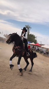 Este caballo baila la que pongan 🇲🇽 ❤ #jaripeo #rodeo #mexico #caballosbailadores #Banda #Tamborazo #horses #viralreelsfb | Vaqueras y Broncos