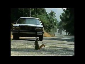 Geico Direct | Television Commercial | 2003