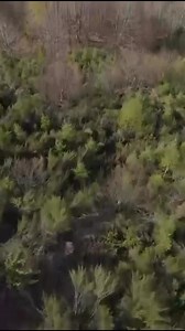 La campagne creusoise se dévoile 🍀 ©️Domaine de La Jarrige | Ça se passe en Creuse