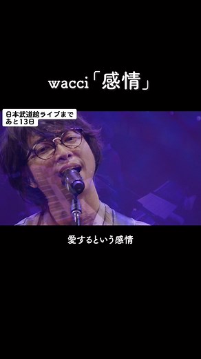 『感情』武道館ライブまであと13日。 #wacci #日本武道館 #感情 #ライブ