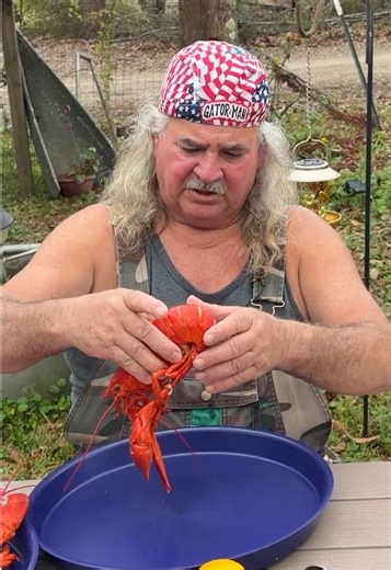 How to Eat a Lobster! #fyp #lobster | lobster