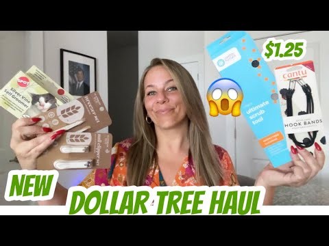 DOLLAR TREE HAUL | NEW | GREAT FINDS | BRAND NAME ITEMS 😱