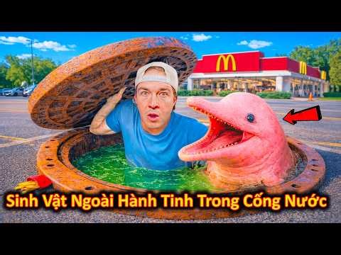 The Challenge of Finding Alien Creatures in Abandoned Garbage Dumps and Sewers || Bun Pho REVIEW