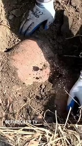 772 reactions | Kral gömüsü 螺 #dedektör #define #pointer #para #coin #treasure #tılsım #arkeoloji_turkey #ancienmosaic #altın #mitolo #mitoloji #büyü #define #hazine #arkeoloji_turkey #altın #treasure #treasure #tılsım #zenginlik #كنز #hobi #ancienmosaic | Umut Kavruk | Facebook