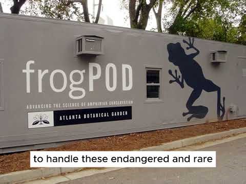 frogPOD - Amphibian Research Lab from 40' Non Working Reefer Container