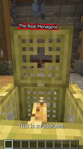 Plants, Decorations and Mobs in Jars on the Minecraft Server