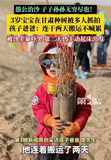 3岁宝宝在甘肃民勤种树被多人抓拍，小小身躯卖力搬树苗的样子令人感叹：愚公治沙，子子孙孙无穷尽也！宝爸：第一天孩子被沙尘暴吓哭，第二天问他还去吗。他说：是不是我们去种树就没有沙尘暴了？那我们出发吧！ Tiny 3-Year-Old Plants Trees to Fight Desert Sandstorms 🌱 This little hero is only 3 years old, but he’s already fighting against sandstorms in Minqin, Gansu,China ❤️ He tried his best to carry saplings and plant trees with his family. On day one, he cried after being scared by the sandstorm. On day two, he asked sincerely: “If we plant trees, will there be no more sandstorms? Then, let’s go!” Net