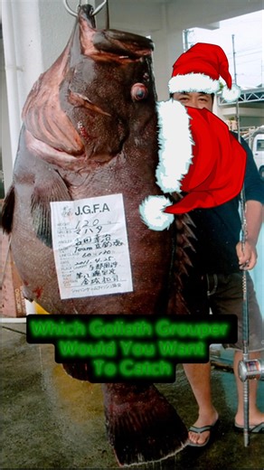 CHRISTMAS SPECIAL THANK YOU ALLLL AND MERRY CHRISTMAS