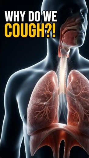 Why Do We Cough? 😳 Your Body Is Doing THIS Inside! #cough #nasaldrop