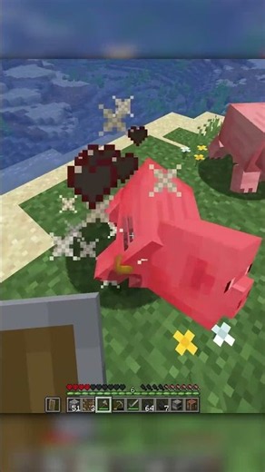 I don't like chickens in minecraft