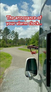 I patiently waited for little Red Robin to realize that he was in fact the man in the mirror.