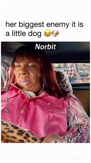memes and movies account | it’s even funnier to the fact they they’re the same person😂 🎥 norbit: Norbit is a normal person, who after being adopted by Mr. Wong, ends... | Instagram