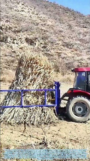 Clamping the Harvest: How a Tractor's Tail Transforms Straw Transport