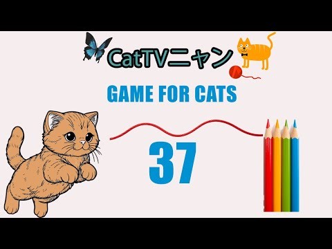 猫の本能全開！5時間の狩りタイム🎯 | CatTVニャン #37
