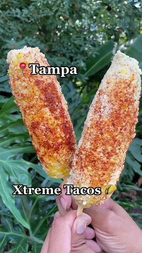 Delicious Fire Tacos and Elotes with Bomb Art