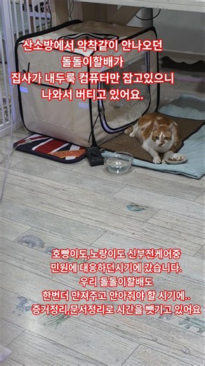 아이들의 케어시간을 몇년째 뺏기고 있습니다.. 이게 업무방해가 아니라니... 탄원서 동참 부탁드립니다...