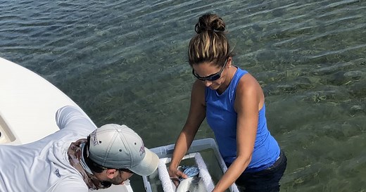 Pharmaceutical contaminants discovered in South Florida bonefish