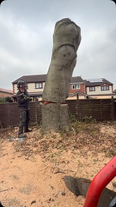 🪵 big lump of Beech going over | JLH Tree & Hedge Services