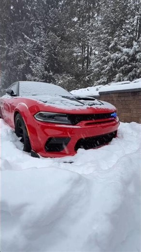 🍷#youtube#ytshorts#shorts#viral#shortsfeed #shortvideo #4x4 #offroad#chevrolet #subscribe