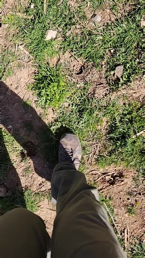 Boops and chin scratches, best way to start a morning! #orangecow #goodboy #outofafricapark #animals #boop | Brittney & Zion
