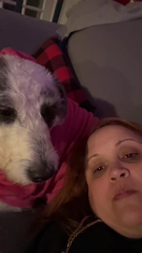 Dogs love #happynewyear #dogslove #fyp #2026goals