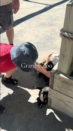 🦁 Our Ultimate Granby Zoo Adventure! Animals, Stingrays, Train Ride & Waterpark Fun 💦