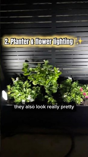 3 Ways We Used These Outdoor Solar Spotlights in Our Front and Backyard