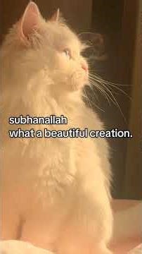 subhanallah #quotes #fypシ #islamicquotes #islam