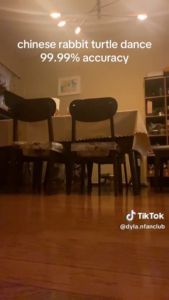 this was funny #dance #rabbit #turtle #accuracy | dancing