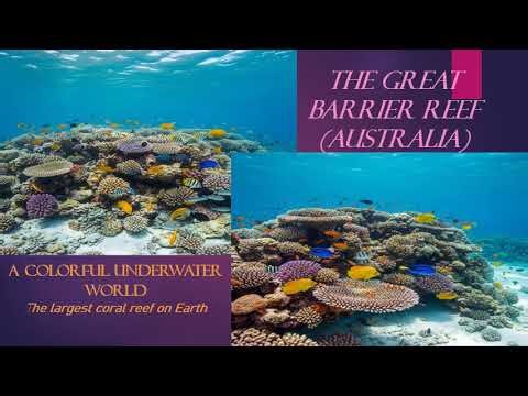 Nature — Stunning Landscapes, Wildlife & Relaxing Scenic Beauty 🌿🌄