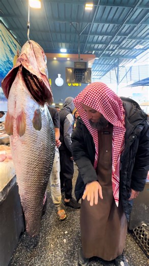 محافظة الجيزة مدينة 6اكتوبر الحى السادس شارع الاخبار داخل سوق الخضار (اسماك المحافظه و التوحيد) https://maps.apple.com/?ll=29.940533,30.914268&q=موقعي&t=m