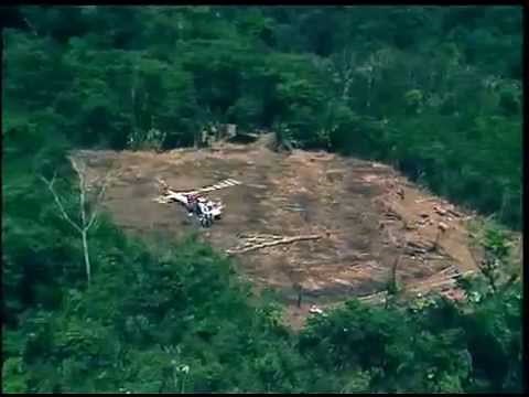 (1) Ushuaia Nature - La Molécule Bleue (Mexique 1998)