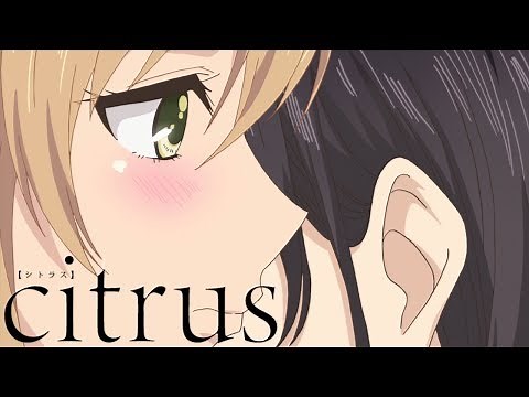 Rush Hour | citrus