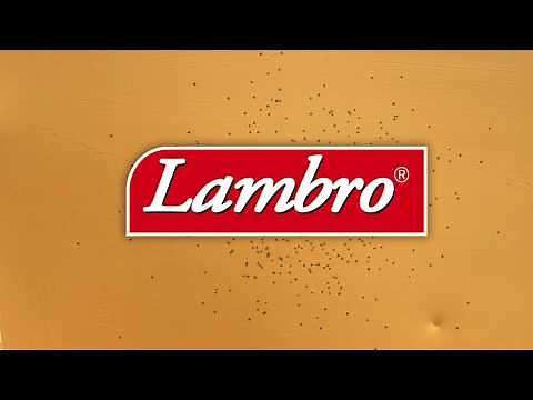 ΤΣΟΚ ΚΑΙ ΦΥΣΙΓΓΙΑ - από την Lambro