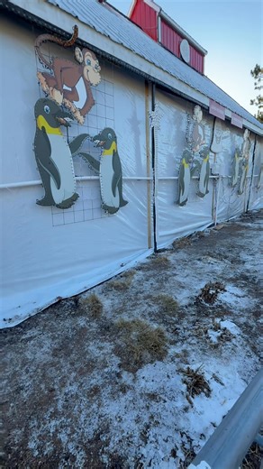 Canadian Christmas Lights on Reels