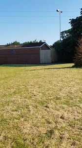 2.7K views · 167 reactions | Just watered the copper beech tree we phantom planted last year in memory of Queen Elizabeth, this was her favourite tree, its one of my favorites too! Its looking so healthy, think she would be happy... Nice position for ot too right in the middle of the estate. | The Phantom Planter | Facebook