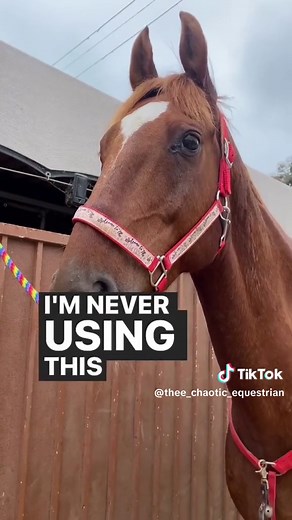 The compilation of my horse pooping that no one asked for 🤷‍♀️ #CapCut #equestrian #hearthorse #hearthorse @Unhinged Trail Guide