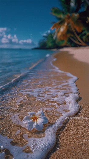 Halie (@halie1)’s videos with original sound - Halie