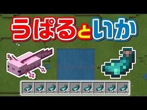 【終了】イカスミ目的なウーパールーパー＆発光するイカトラップで墨袋ゲット[マイクラ統合版/1.17/Bedrock](Win10/PE/Switch/PS/Xbox)