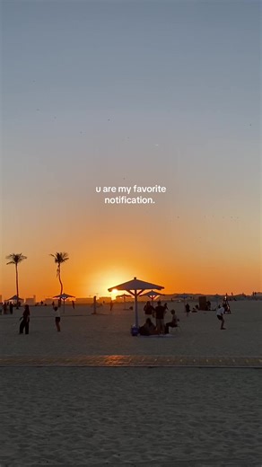 Understanding Notifications and Their Importance