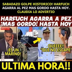 51K views · 1.2K reactions | Se cumple la advertencia: Claudia lo dijo y Harfuch atrapa al pez más gordo de todos  El momento más esperado: Harfuch concreta la detención más poderosa hasta la fecha. Claudia había lanzado la alerta días antes. | Elian Garrison | Facebook