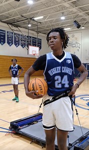 Want to be more effective with your coaching? VertiMax V8 Platforms are the perfect tool to add to your team training repertoire. #VertiMax is the most efficient and effective training system for building athletic power while giving coaches the ability to train multiple athletes at once: ✅Create more time for training ✅Fast & simply setup ✅Easily transition between movements and accessories Join the thousands of coaches that trust VertiMax at https://bit.ly/3zQmH15 #vertimaxtraining #teamvertima