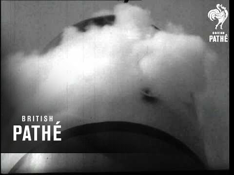 SS Constitution (1951)