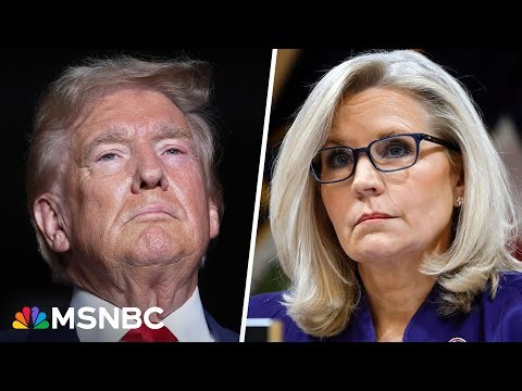A Liz Cheney investigation ‘would fail right at the get go’: Katyal condemns bogus Trump threat