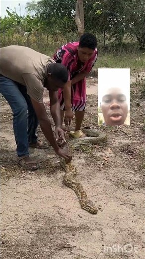 will you run or stay 🐍🐍🐍